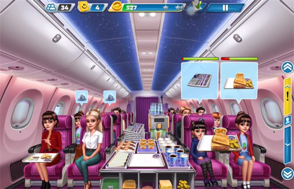 Airplane Chefs