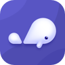小京鱼下载 v7.3.1