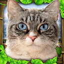 流浪猫模拟器中文版下载 v1.0.4